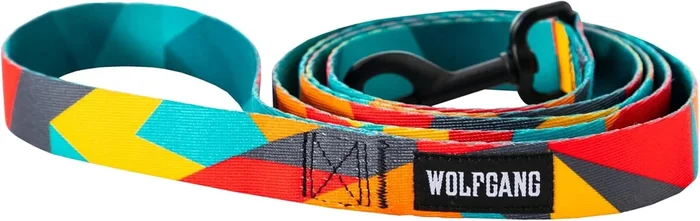 ShatterShapes Leash Durable and Stylish for Secure Handling and Control