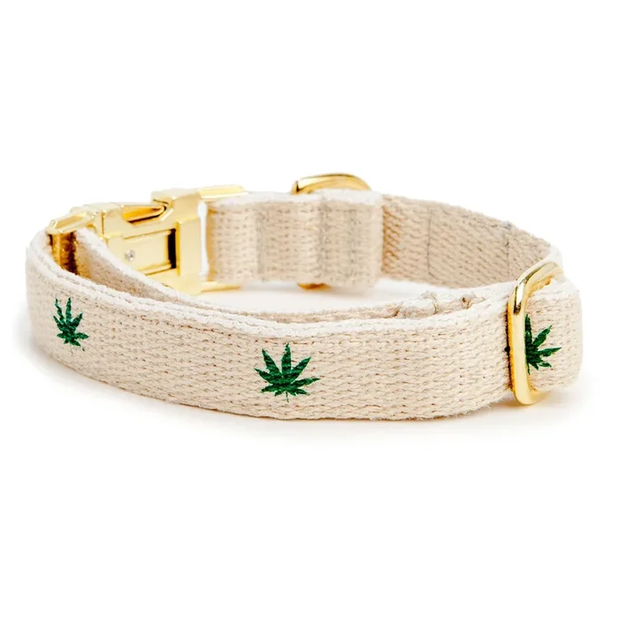 SHED | Pot Collar