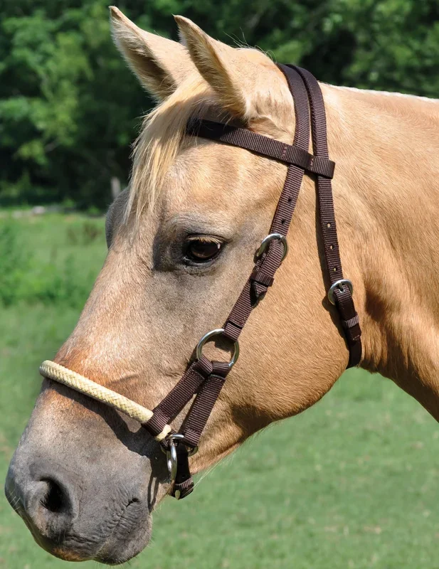 Sidepull Bridle, 3/4″
