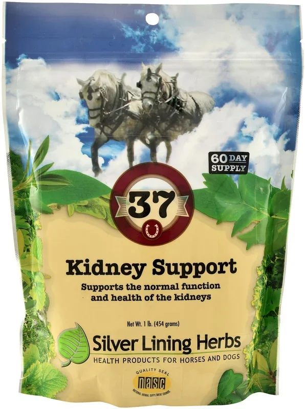 Silver Lining Herbs Kidney Support