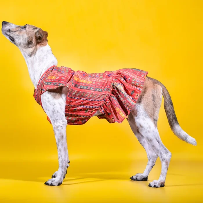 Skatrs Cotton Printed Dress for Dogs and Cats (Red)