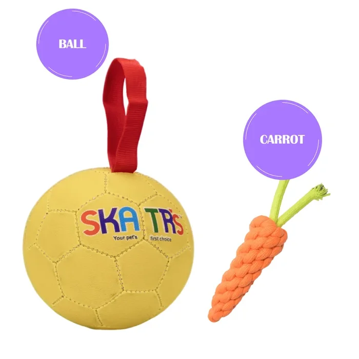 Skatrs Football Training Ball Toy With Holding Loops for Dogs | For Aggresive Chewers | Medium and Large Breeds
