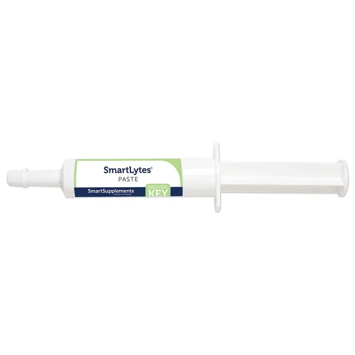 SmartEquine SmartLytes Electrolyte Paste for Horses