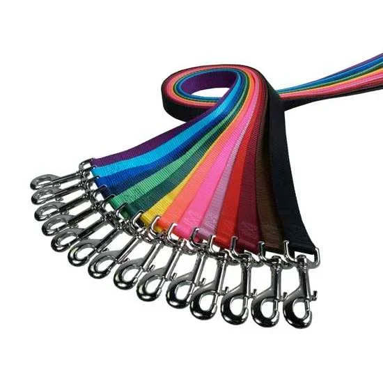 Solid Color Nylon Lead – 1″ Wide
