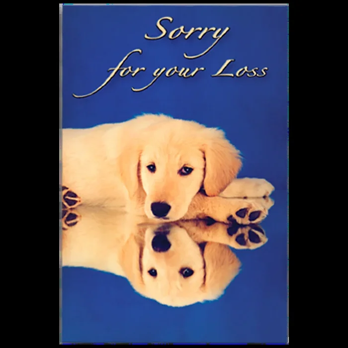 Sorry For Your Loss Golden Design Grievance Card by Dog Fashion Living