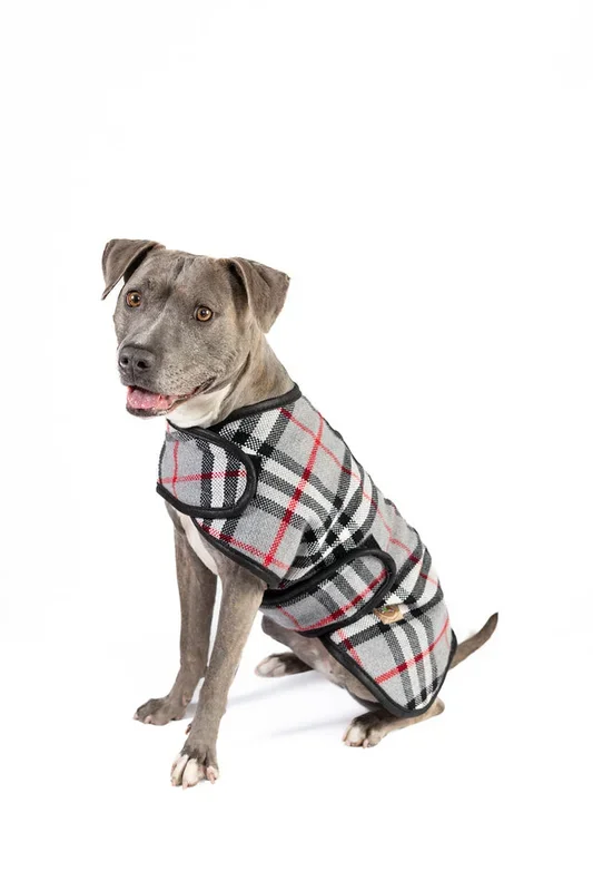 Steel Tartan Fleece Lined Dog Coat by Chilly Dog