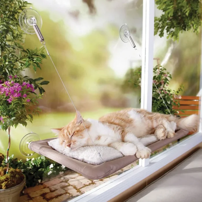 Sunny Seat Window Perch