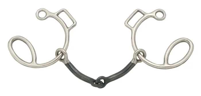 Sweet Iron Snaffle Six Cheek Gag