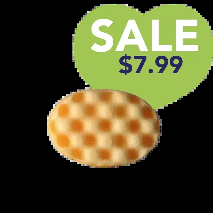 Sweet Orange Essential Oil Wash Sponge by Dog Fashion Spa