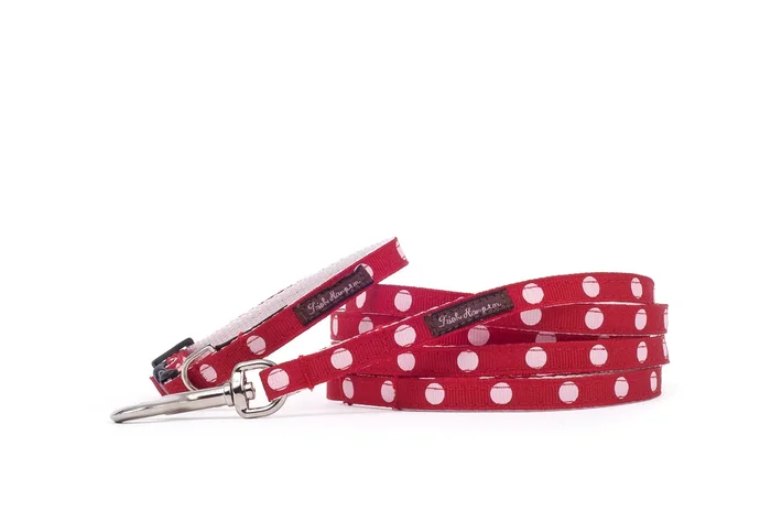 Teacup Red/White Dots Collar/Harness/Lead – 117