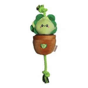 Territory Dog Treat Tug Lettuce Toy 15″
