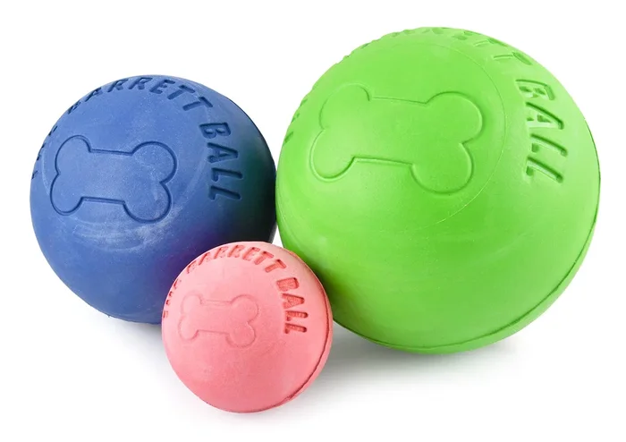 The Barrett Ball Dog Toy