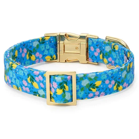 The Foggy Dog – Dog Collar Bees In Bloom