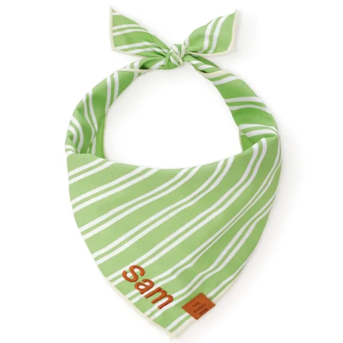 The Foggy Dog – Sprout Stripe Bandana