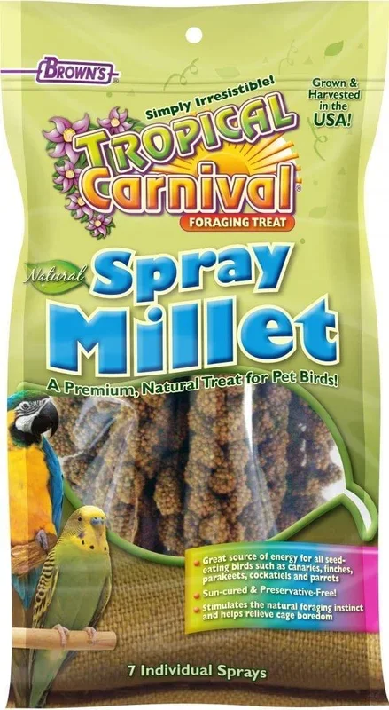 Tropical Carnival – Natural Spray Millet – 7 ct