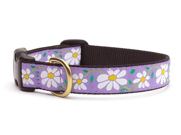 Up Country Daisy Collar