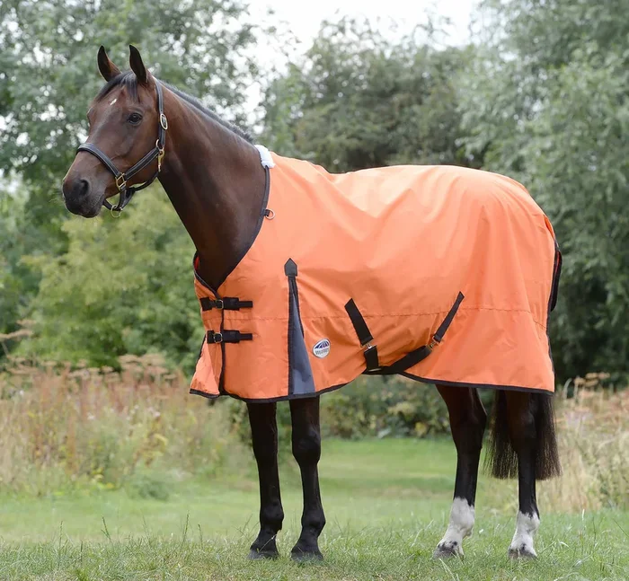 WeatherBeeta ComFITec Classic Standard Neck Turnout Sheet, 600D, 0 Gram