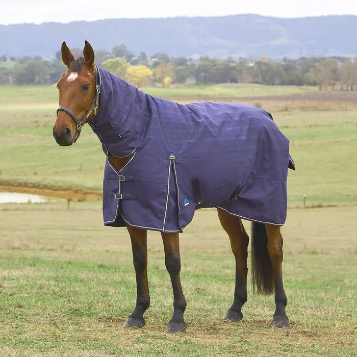WeatherBeeta ComFiTec Prelim 1200 Denier Combo Neck Turnout Sheet for Horses – Comfortable & Durable Protection
