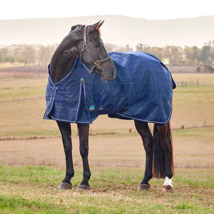 WeatherBeeta ComFiTec Prelim 1200 Denier Medium Weight Waterproof Turnout Blanket for Horses – Standard Neck, Insulated & Durable