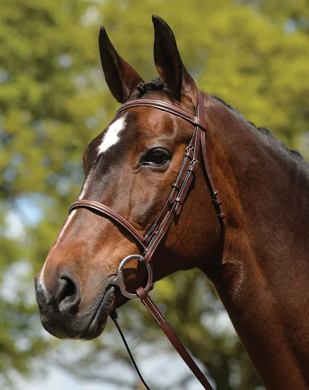 Weatherbeeta Fancy Stitched Bridle with Reins, Brown