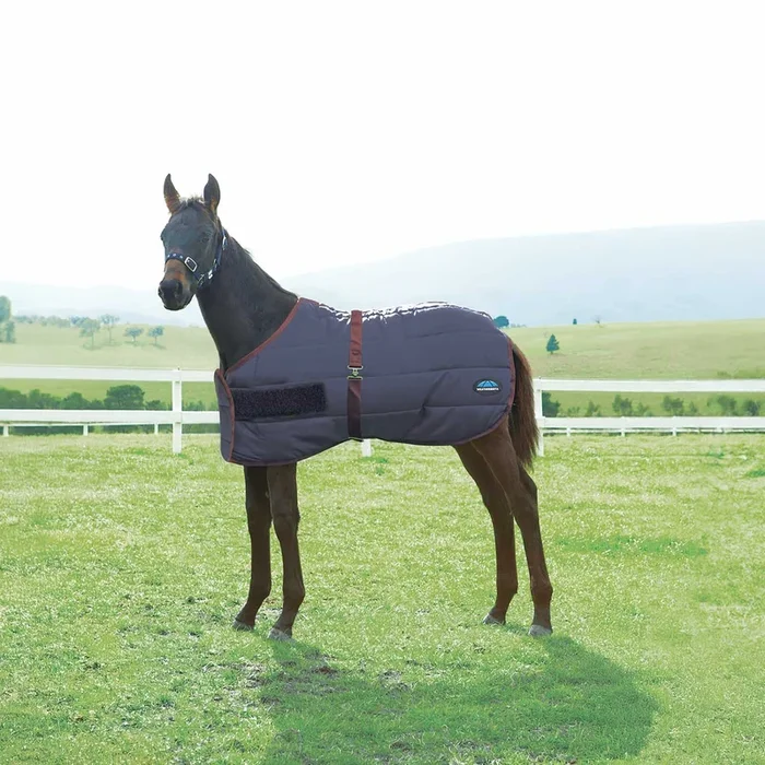 WeatherBeeta Foal Blanket, 220g – Medium Weight 420 Denier Standard Neck Turnout for Growing Foals