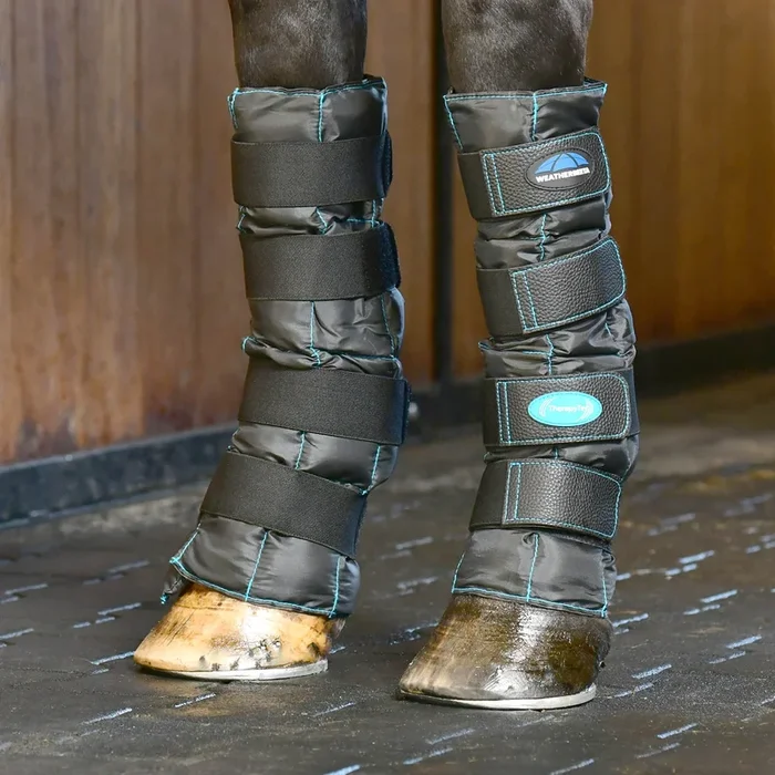 WeatherBeeta Therapy-Tec II Gel Ice Boots – Cold Therapy for Horses, Tendon & Joint Recovery