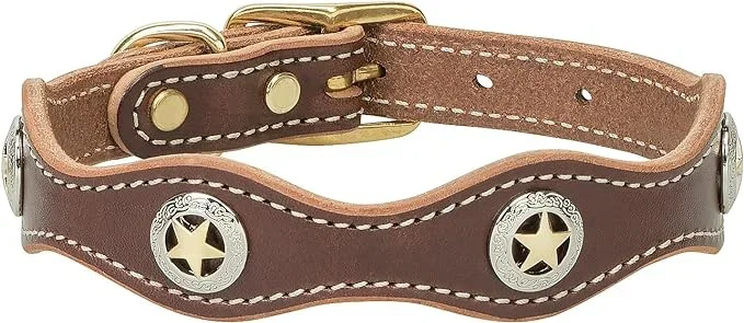 Weaver Lonestar Dog Collar