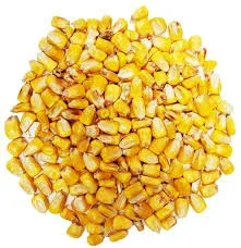 Whole Corn Clean and Food Grade Multi Sizes