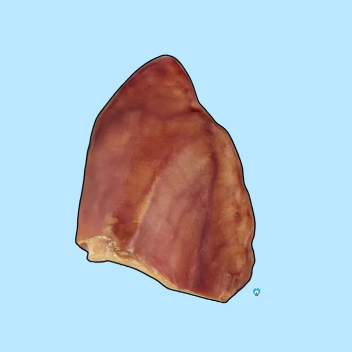 Whole Pig Ears – Single