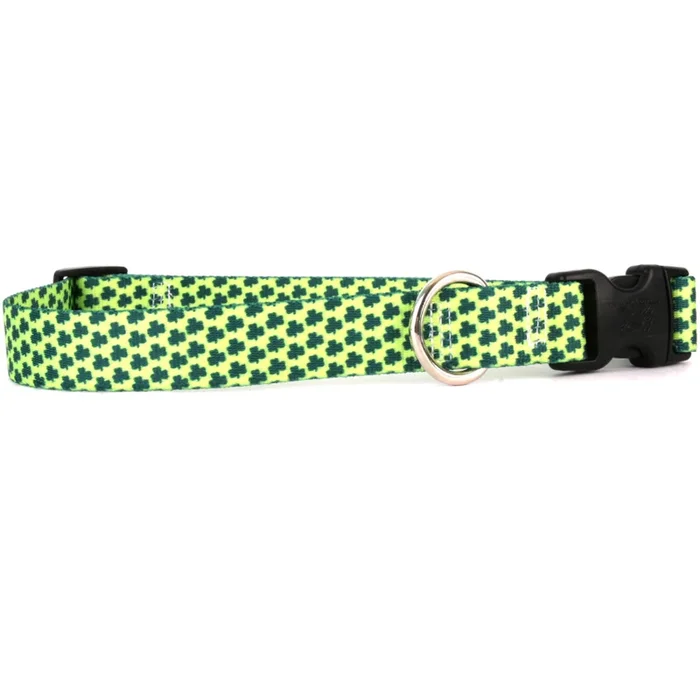 Yellow Dog Design – Petite Shamrock Collar