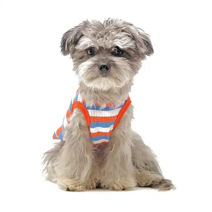You Are Loved Pet Tee – Blue
