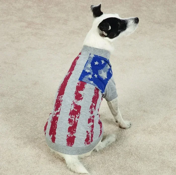 Zack & Zoey America’s Pup Flag-Print Tee Shirt for Dogs, Gray XL