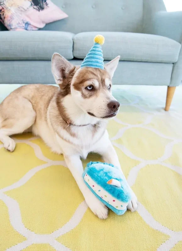 Zippy Paws Dog Plush Squeaker Toy Birthday Sprinkle Cake Blue