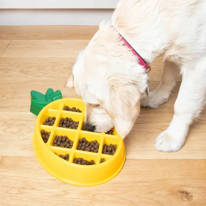 Zippy Paws Pineapple Slow Feeder