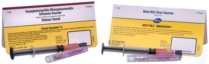 Zoetis Complete Horse Vaccination Kit with West Nile (6-Way Vaccine + WNV)