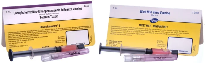 Zoetis Horse Vaccination Kit with West Nile (5-Way Vaccine + WNV)