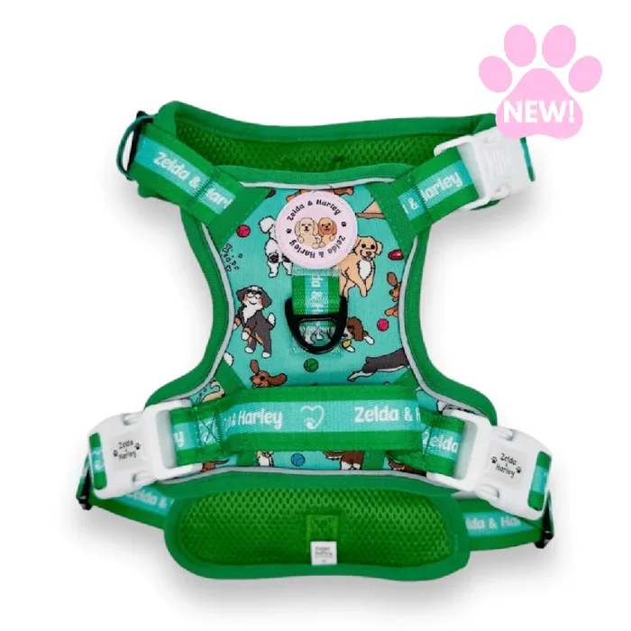 Zoomies 2.0 – Adventure No Pull Harness